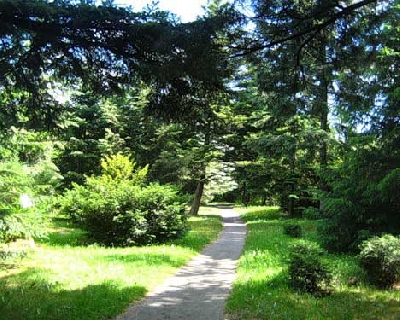 Ботанический сад Калининград