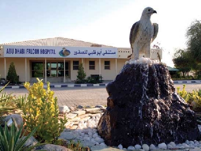 Соколиный госпиталь Абу-Даби