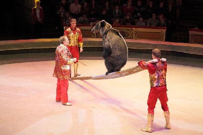 Большой Московский государственный цирк