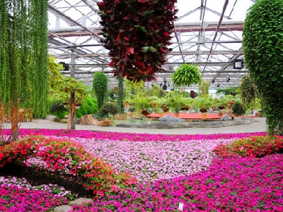 Пекинский сад цветов мира